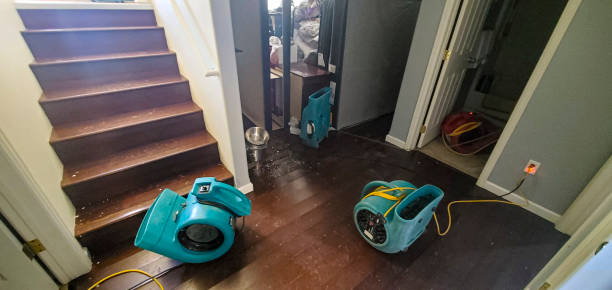Best Water damage repair service  in East Petersburg, PA