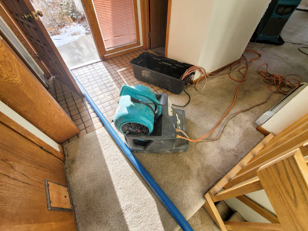 Best Sewage cleanup and water damage restoration  in East Petersburg, PA