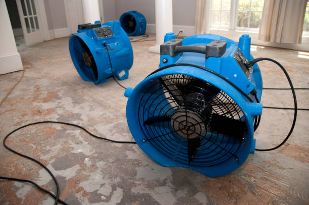 Best Flood restoration services  in East Petersburg, PA