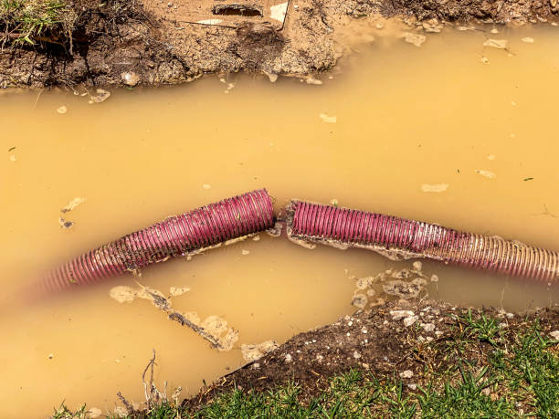 Best Emergency water damage restoration  in East Petersburg, PA