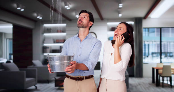 Best Water damage cleanup near me  in East Petersburg, PA