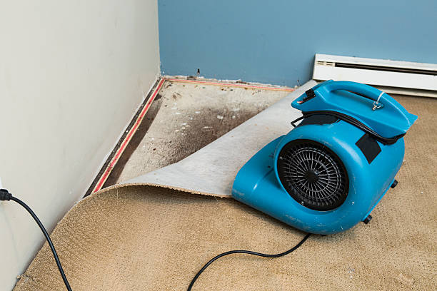 Best 24-hour water damage restoration  in East Petersburg, PA